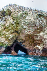 Similar image 8355981