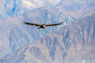 Similar image 8355983