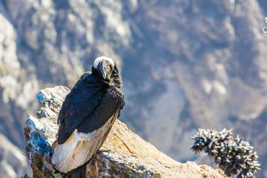 Similar image 8355986