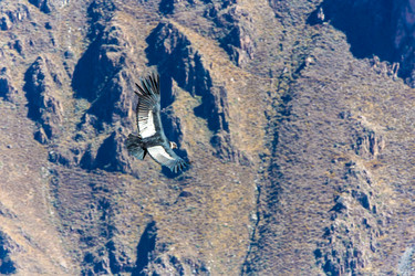 Similar image 8355990