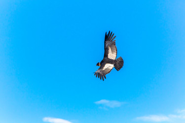 Similar image 8355991