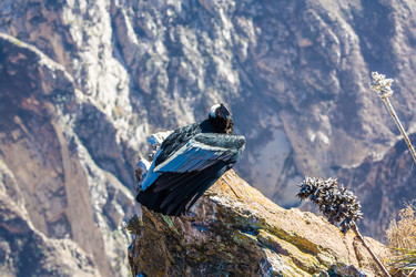 Similar image 8355992