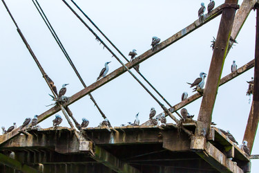 Similar image 8355999