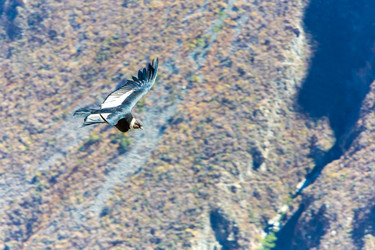 Similar image 8356009