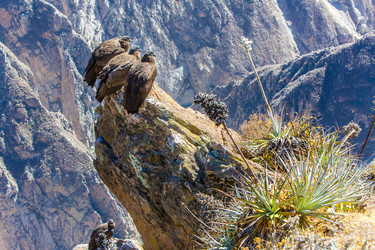 Similar image 8356010