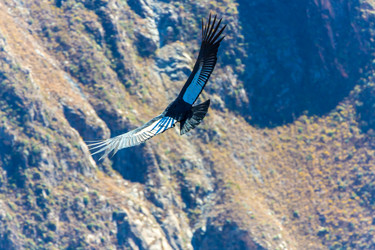 Similar image 8356021