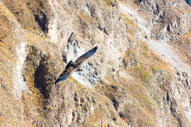 Similar image 8356025