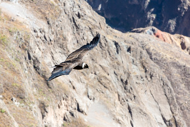 Similar image 8356026