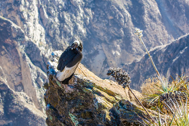 Similar image 8356028