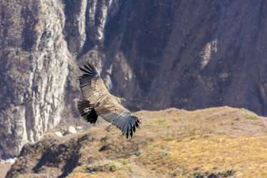 Similar image 8356029