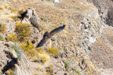 Similar image 8356043