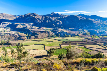 Similar image 8356049