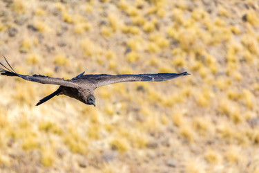 Similar image 8356050