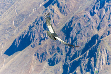 Similar image 8356052