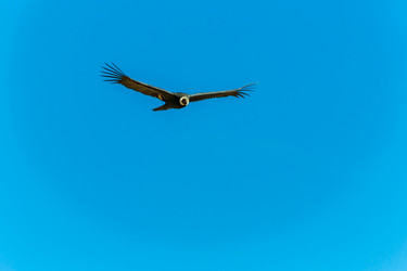 Similar image 8356062