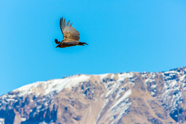 Similar image 8356063