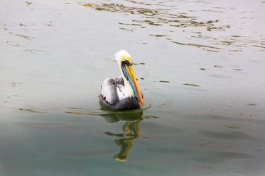 Similar image 8356072