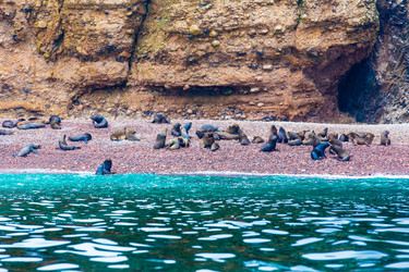 Similar image 8356073