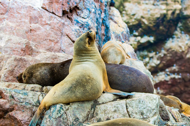 Similar image 8356074