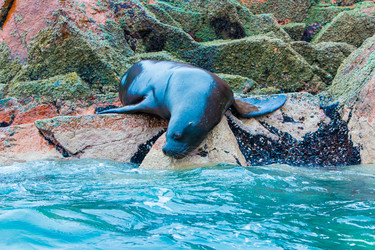 Similar image 8356077