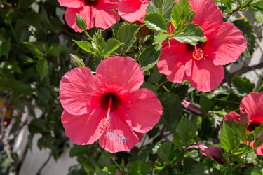 Similar image 8356082