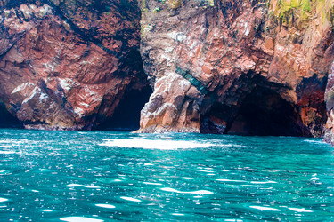 Similar image 8356120