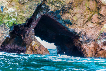 Similar image 8356123