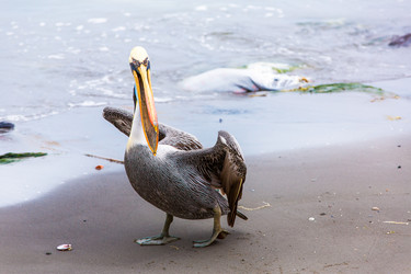 Similar image 8356126