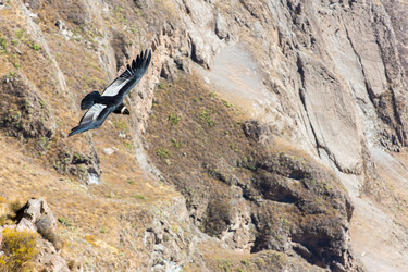 Similar image 8356132