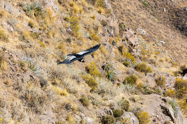 Similar image 8356133