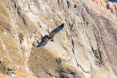 Similar image 8356135