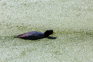 Similar image 8356175