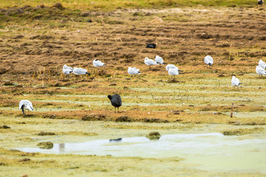 Similar image 8356177