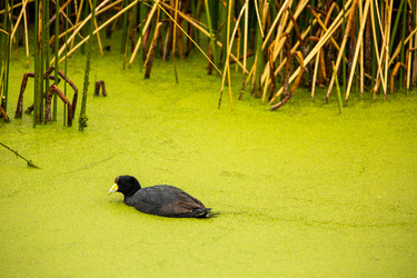 Similar image 8356178