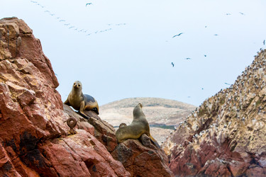 Similar image 8356193