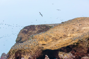 Similar image 8356200