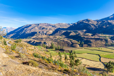 Similar image 8356251