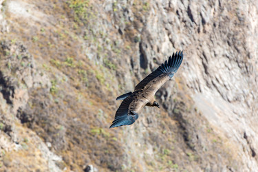 Similar image 8356257