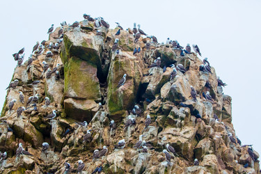 Similar image 8356267