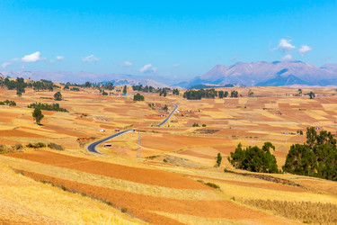 Similar image 8356363