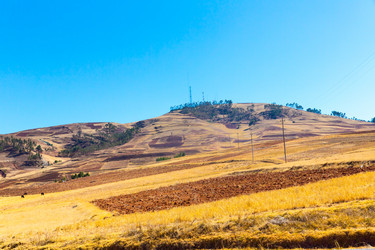 Similar image 8356369