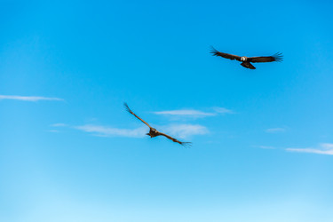 Similar image 8356374