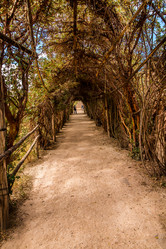 Similar image 8356405