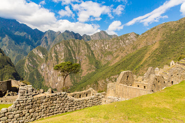 Similar image 8356441