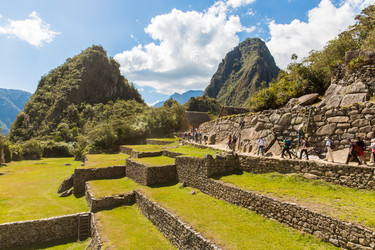 Similar image 8356461