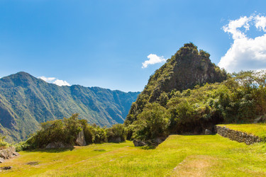 Similar image 8356466