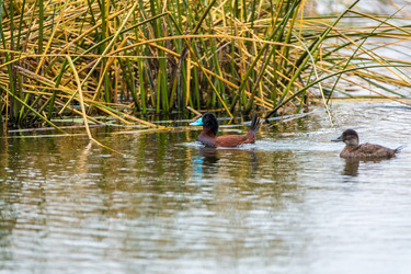 Similar image 8356468