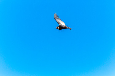 Similar image 8356469