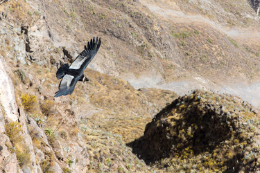 Similar image 8356471