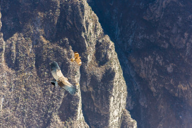 Similar image 8356472